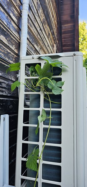 Vanzare, montaj si service aer conditionat – Echipa autorizata – Garantie 2